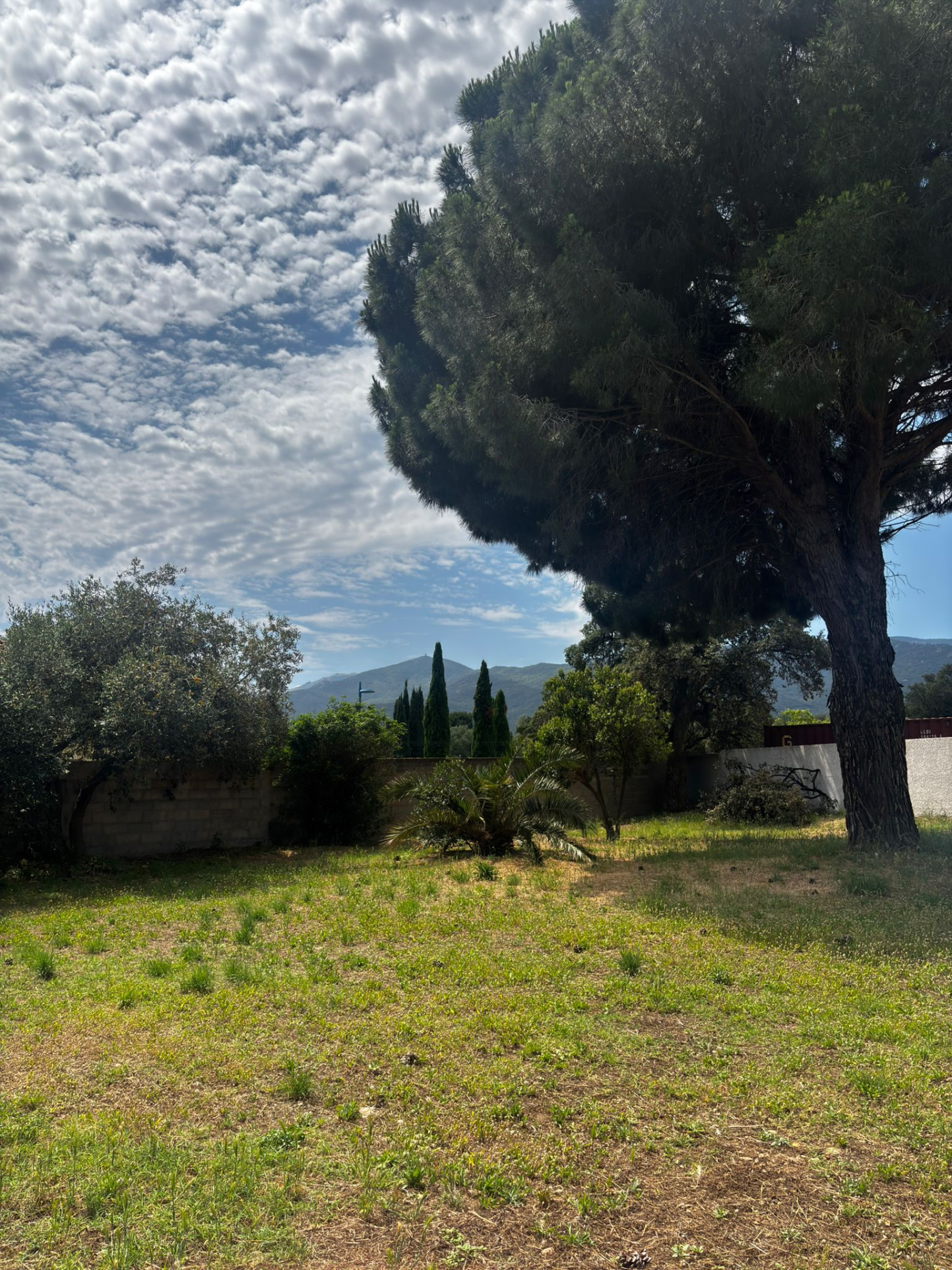 Magnifique Terrain Constructible Argelès-sur-Mer